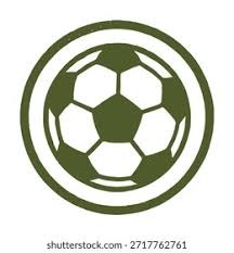 马德兴：有关方面对王洪亮带队0-3巴西不满，却对女足0-8沉默